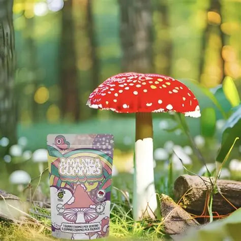 FUNGI PACK ( pick 3 shroom packs )